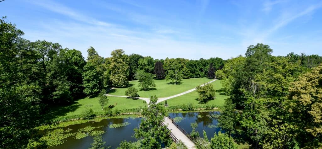 Zámecký park Blatná - stádo daňků