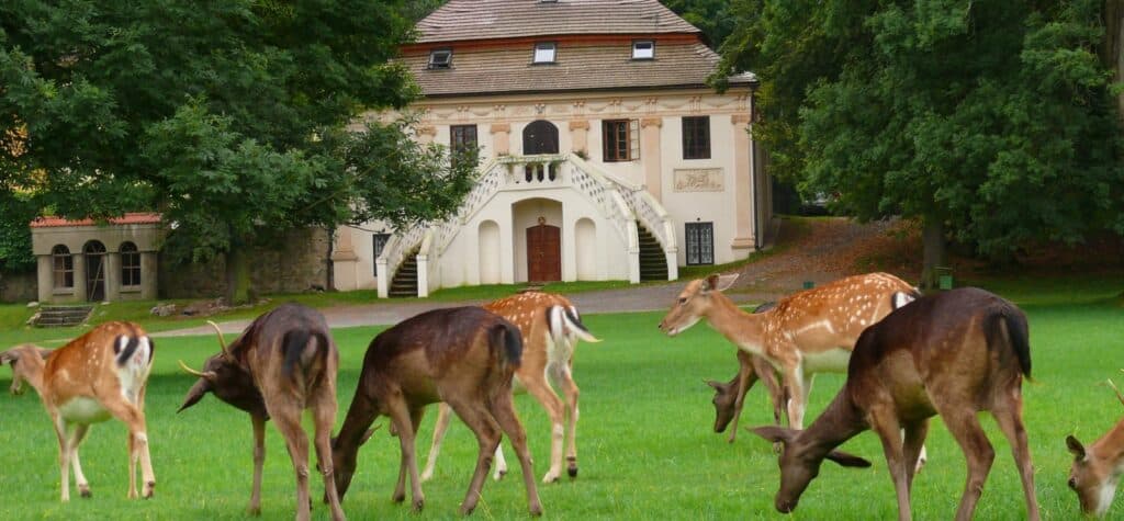 Zámecký park Blatná - krajina