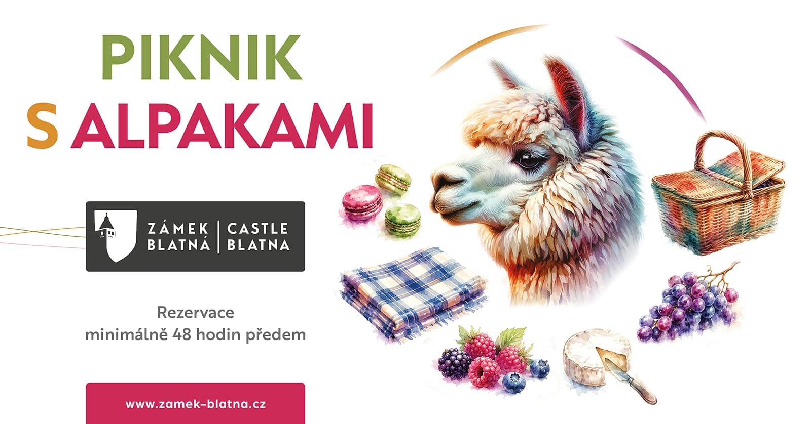 Piknik s alpakami