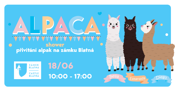 Alpaca shower! Přivítání alpak na zámku Blatná