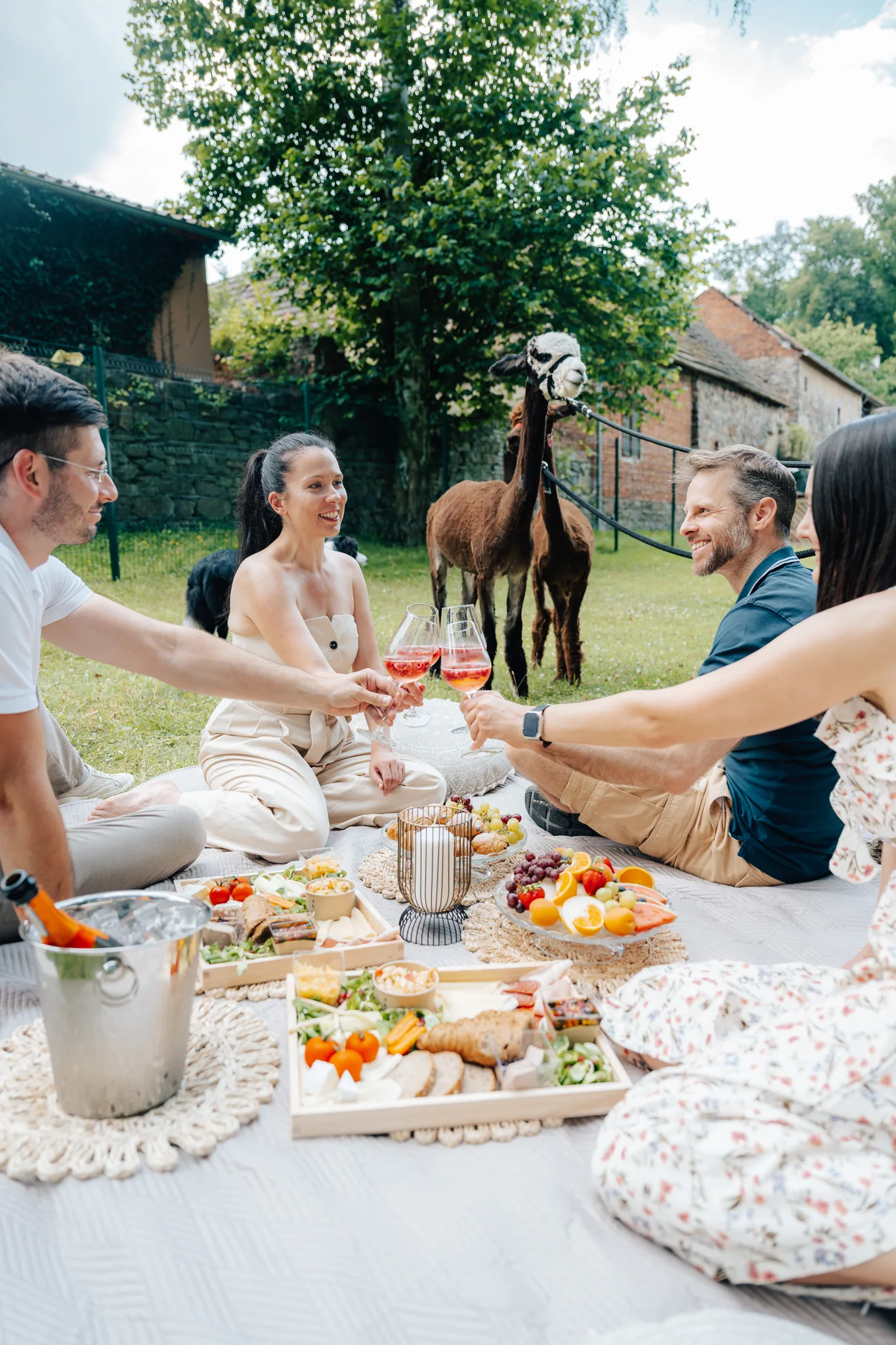 Svatební piknik s alpakami v zámeckém parku